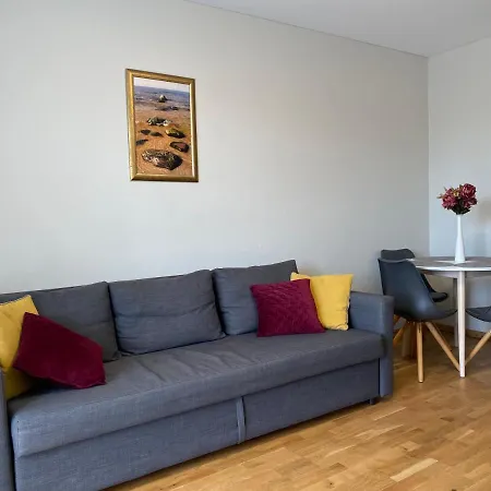 Jono Kalnelio With Terrace Apartment *